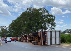 Carga viva: Caminhão que transportava porcos tomba em rodovia