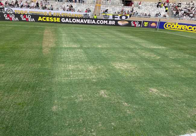 Mineirão está com falhas no gramado e receberá partida do Cruzeiro, na quarta-feira (21)