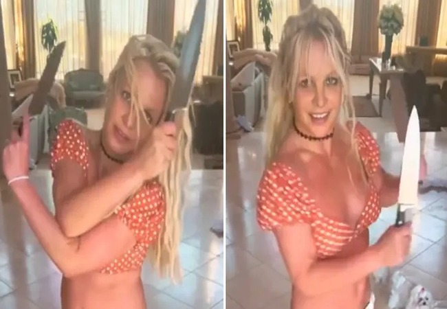 Britney Spears se pronunciou depois que a polícia foi até sua casa