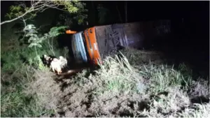 Ônibus da Buser com 40 pessoas vindo para BH cai em buraco de 9 metros na BR 040