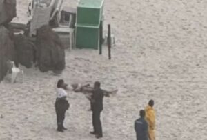 Vídeo: homem é atingido por raio e morre no meio da praia