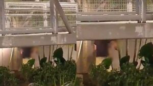 Casal é flagrado fazendo sexo embaixo de viaduto durante o dia