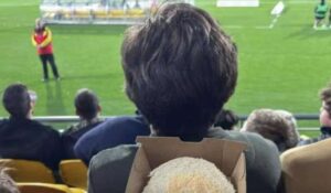 Torcedor reclama do hambúrguer em estádio ganha apoio nas redes sociais