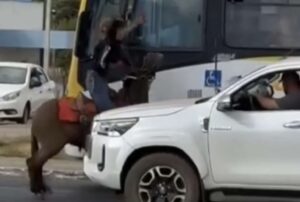 Motorista de ônibus e homem a cavalo brigam no meio do trânsito