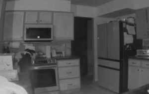 Cachorro liga fogão durante madrugada e causa incêndio na casa