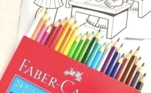 Maior floresta para lápis da Faber-Castell no Brasil pega fogo em MG