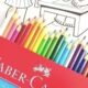 Maior floresta para lápis da Faber-Castell no Brasil pega fogo em MG