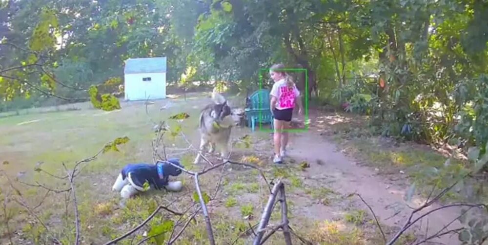 Vídeo: Menina “rouba” cachorro do vizinho e o substitui por outro de pelúcia