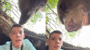 Influenciador sérvio invade caverna de urso e é surpreendido por animal; assista