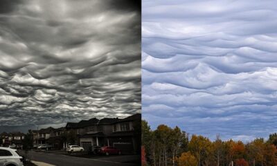 Céu da cidade de Ottawa apresenta nuvens que se parecem com pintura