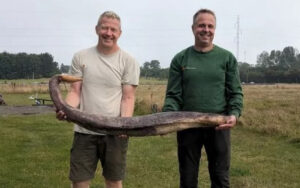 Limpadores de praia exibem “fóssil de cobra”, mas descobrem ser outra coisa