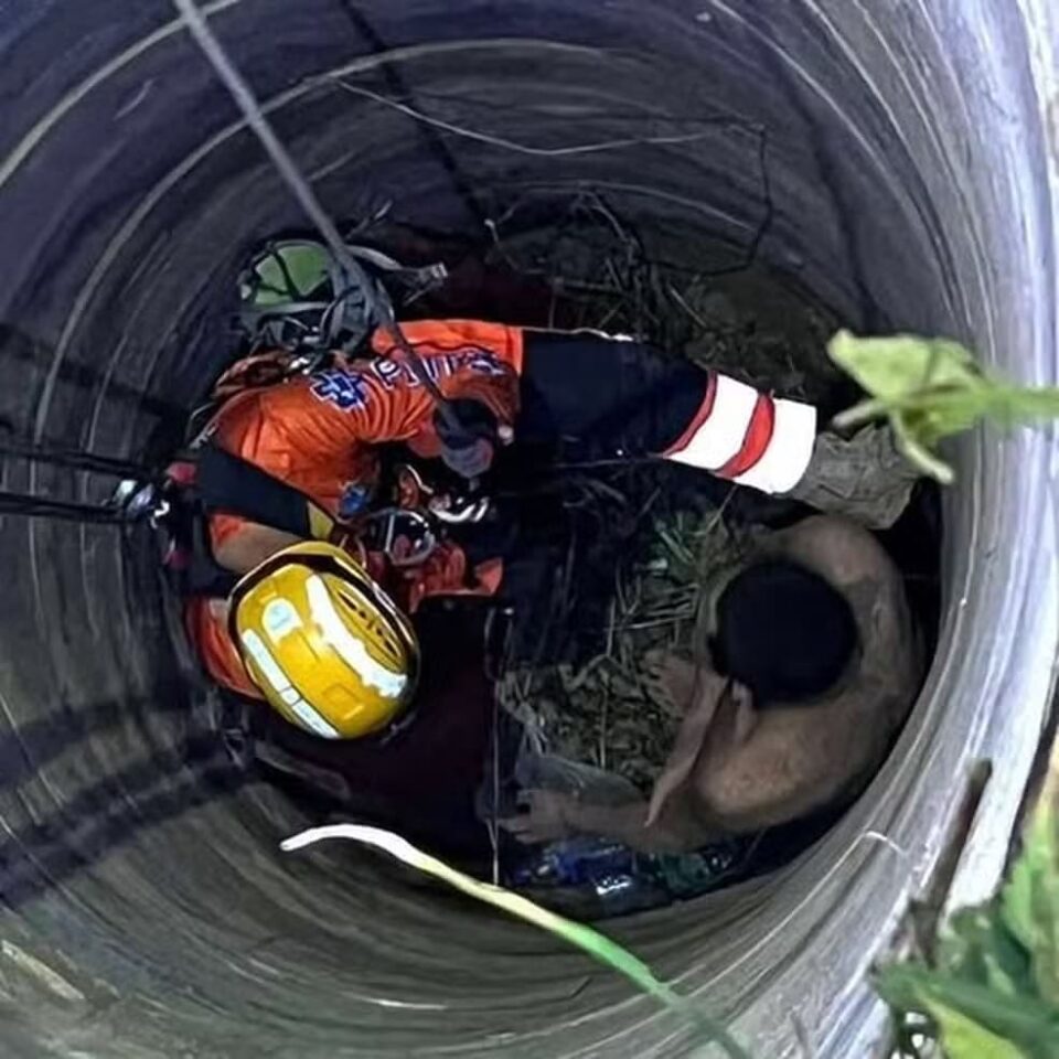 Turista chinês ficou preso em um poço por três dias na Tailândia (Reprodução/ Mae Sot Pitakkarn Foundation)