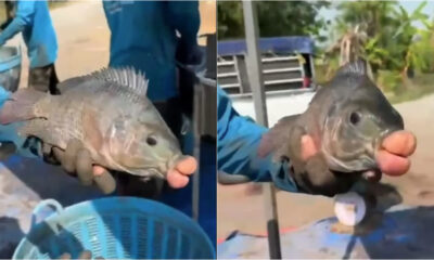 pescador segurando peixe na mão