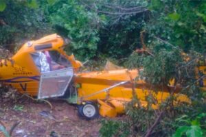 Queda de aeronave agrícola mata piloto em Minas Gerais