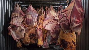 O frigorífico é acusado de vender carne bovina imprópria para consumo, que havia sido afetada pela enchente no Rio Grande do Sul em 2024 (Divulgação/Polícia Civil)