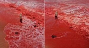 VÍDEO: praia no Irã se transforma em um mar vermelho