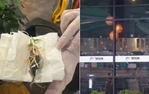 Cliente encontra rato morto em prato de restaurante
