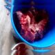 Carne bovina sendo armazenada em um balde de plástico