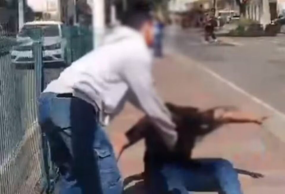 Menino batendo em adolescente