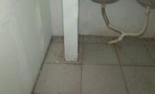 Fezes de rato embaixo da pia