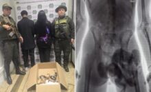 Suspeitos sendo presos em flagrante e raio X do suspeito com macaco escondido