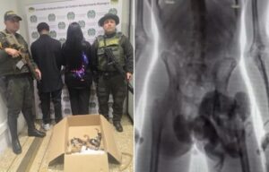 Suspeitos sendo presos em flagrante e raio X do suspeito com macaco escondido