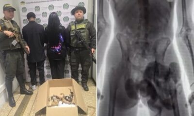 Suspeitos sendo presos em flagrante e raio X do suspeito com macaco escondido
