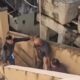 Vídeo: irmãos são presos após manter corpo do pai em decomposição por 6 meses