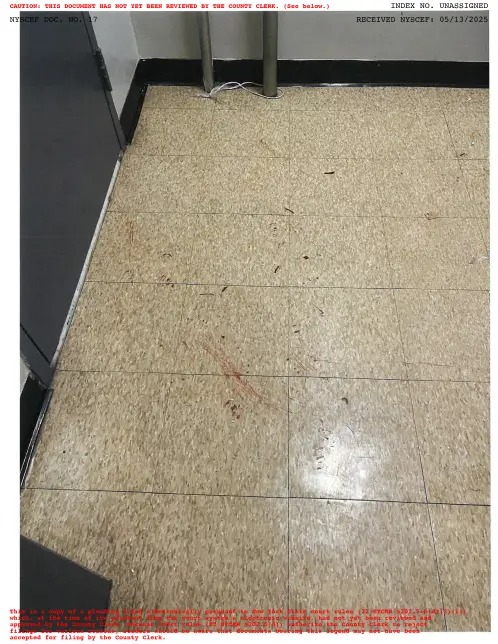 manchas de sangue no chão