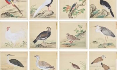 Representações de pássaros assinadas por Jiang Tingxi, artista da corte imperial da dinastia Qing