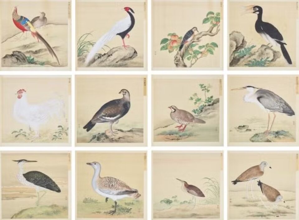 Representações de pássaros assinadas por Jiang Tingxi, artista da corte imperial da dinastia Qing