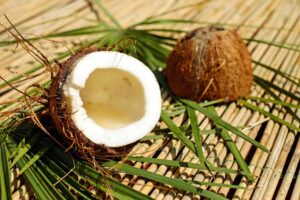 Metade de um coco seco com a polpa exposta ao lado de outra metade virada para baixo, sobre folhas de palmeira e um piso de bambu.