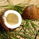 Metade de um coco seco com a polpa exposta ao lado de outra metade virada para baixo, sobre folhas de palmeira e um piso de bambu.