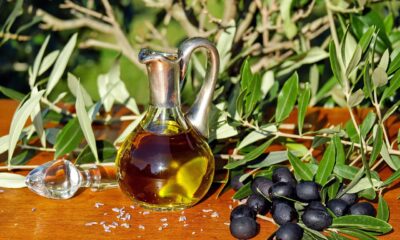 Garrafa de azeite de oliva sobre uma superfície de madeira, cercada por ramos de oliveira e azeitonas pretas, com fundo de vegetação natural