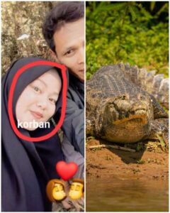 Vítima de um lado e crocodilo do outro