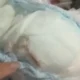 Foto mostra parte interna de uma fralda com uma área escurecida e suspeita, onde foi identificado um roedor morto, segundo relato da mãe.