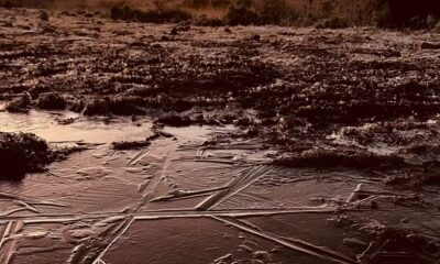 Paisagem com marcas de frio em Santa Catarina