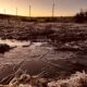 Estado brasileiro tem dia mais frio do ano com -6°C; saiba qual é