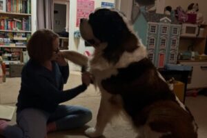 Cachorro de 76 kg enfrenta câncer e mobiliza redes sociais