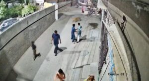 Leão pulando muro de residência no Paquistão