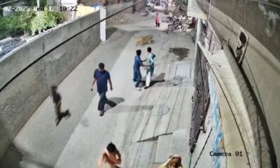 Leão pulando muro de residência no Paquistão