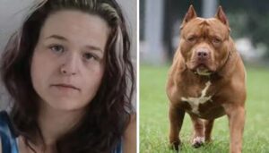 Mãe é condenada após filho ser atacado por pit bull algemado