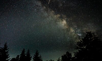 Céu estrelado e com estrela cadente