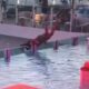 Vídeo: homem cai de piscina infinita no maior cruzeiro do mundo