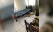 Imagem do lugar insalubre para idosos
