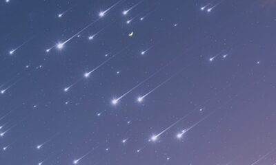 Imagem noturna de uma chuva de meteoros com dezenas de rastros brilhantes no céu, a Lua crescente ao centro e silhuetas de árvores na parte inferior.