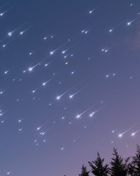 Imagem noturna de uma chuva de meteoros com dezenas de rastros brilhantes no céu, a Lua crescente ao centro e silhuetas de árvores na parte inferior.