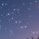 Imagem noturna de uma chuva de meteoros com dezenas de rastros brilhantes no céu, a Lua crescente ao centro e silhuetas de árvores na parte inferior.
