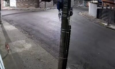 Criança andando sozinha na rua de madrugada