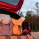 Porta-malas com duas mochilas